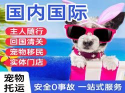 启阳机场邮寄国际宠物托运 【国